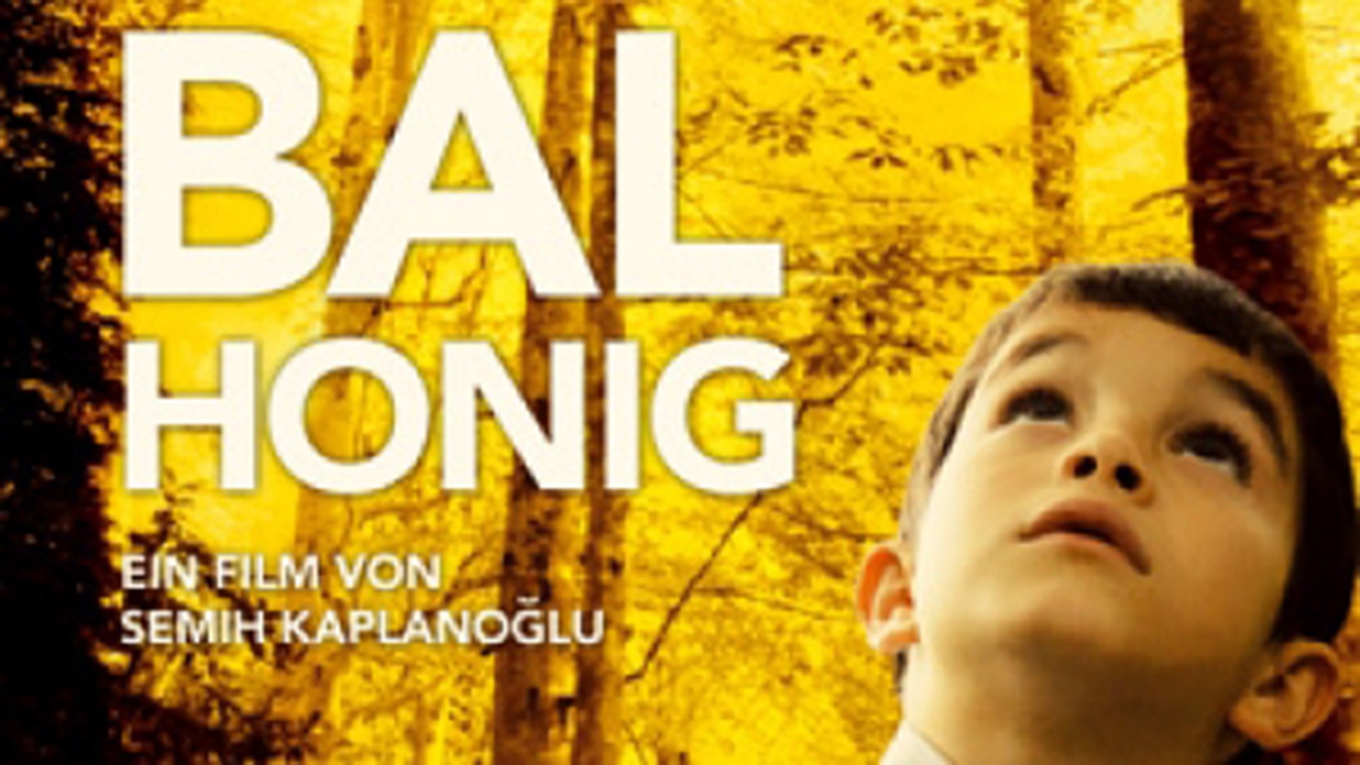 BAL – HONIG