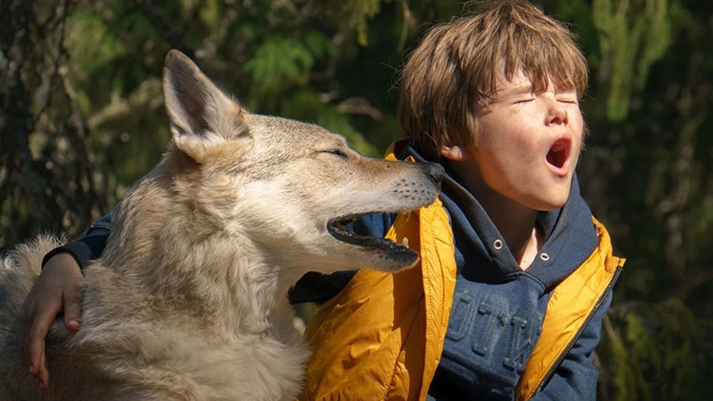 Bruno bei den Wölfen