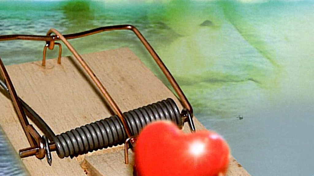 DER GESÄUBERTE PLANET – Eine Reise ins Innere der Scientology