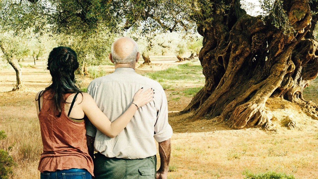 El olivo  – Der Olivenbaum