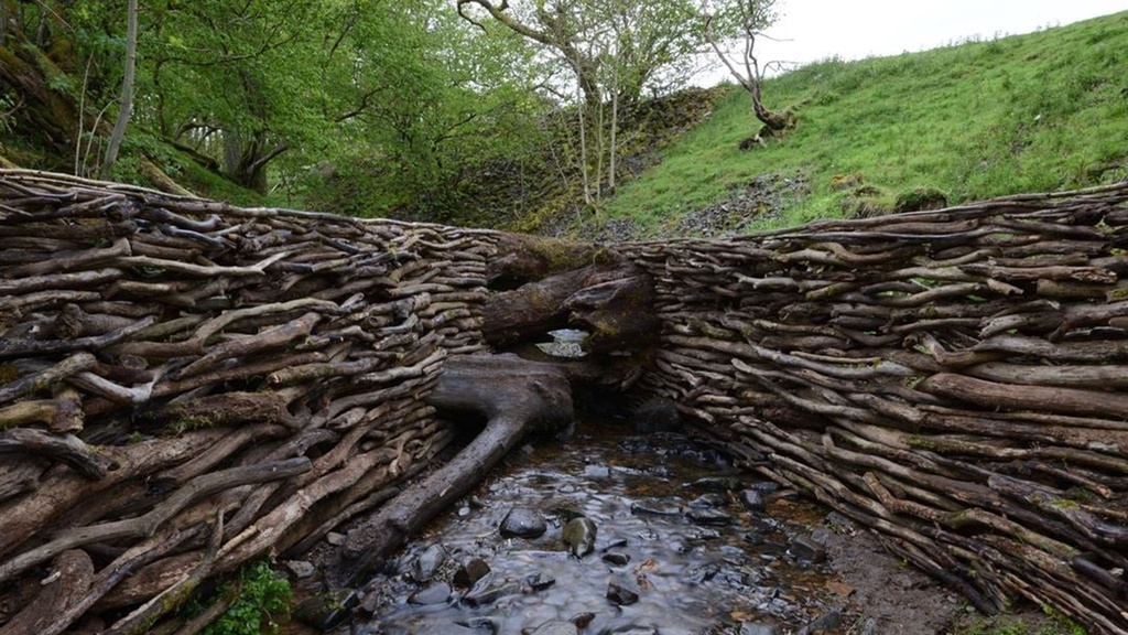 Leaning into the Wind – Andy Goldsworthy