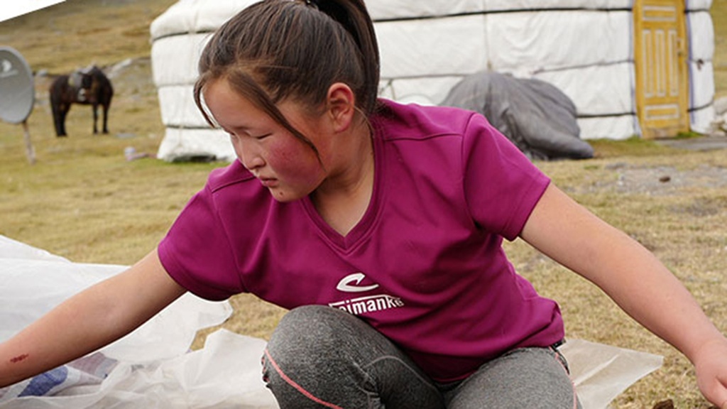 Zozooloi aus Mongolei