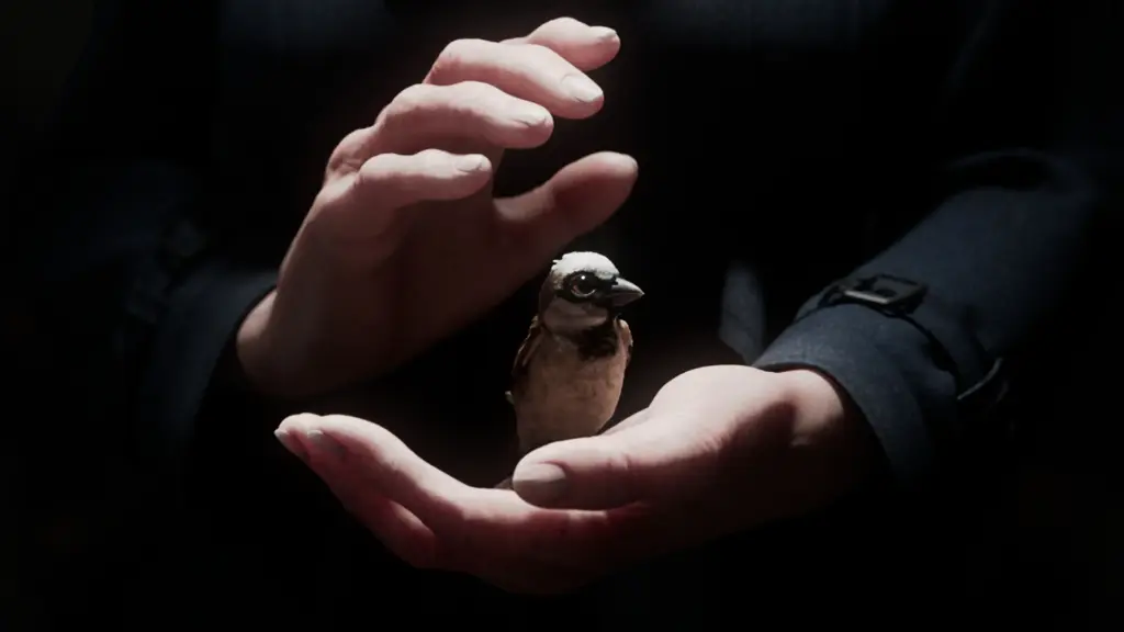 A Sparrow's Song – Hoffnung in dunklen Zeiten