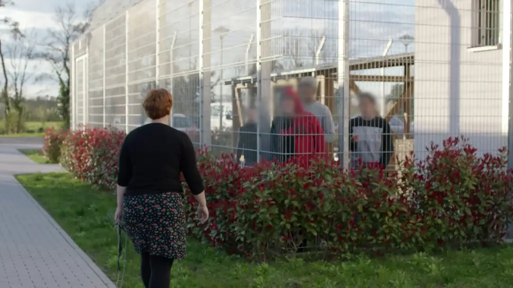 Kurz vor Knast? Das Leben junger Straftäter