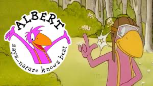 [AR02121-001] ALBERT SAGT: NATUR – ABER NUR! (4 DVDs im Paket)