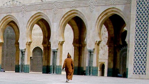 [AR01844-001] DIE FREMDEN IM PARADIES - Warum Gotteskrieger töten