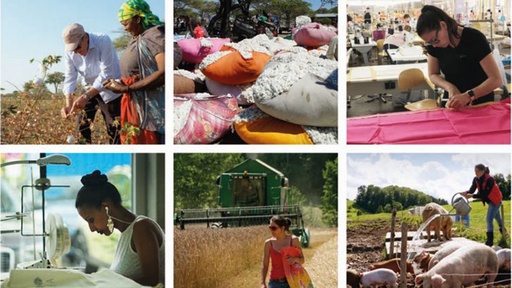 [AR02842-001] Fair Traders