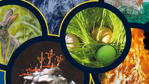 [AR02341-001] Logodor entdeckt Ostern