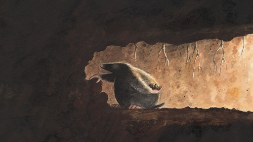 [AR02426-001] Maulwurfstadt