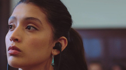 [AR02996-001] Naomis Reise