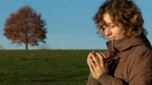 [AR02229-001] SEELENVÖGEL