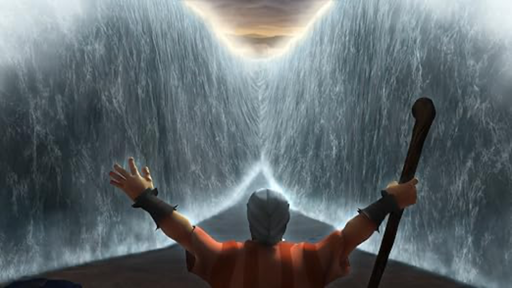 [AR02466-001] SUPERBUCH: Komplettpaket (13 DVDs)