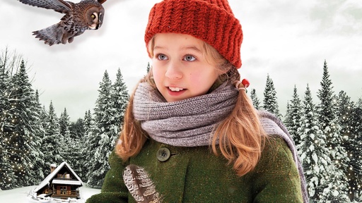 [AR03026-001] Weihnachten im Zaubereulenwald