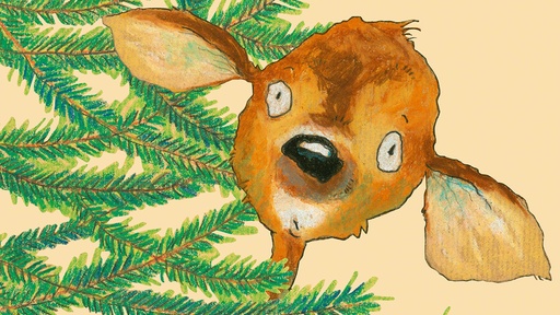 [AR02877-001] Weihnachten – was verbinden wir mit diesem Fest?