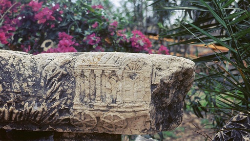 [AR02897-001] Wenn Sand und Steine erzählen könnten ... Teil 4: Jesus