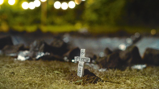 [AR03108-001] Lang lebe der Fischfriedhof