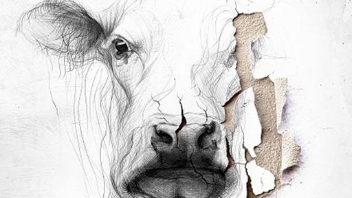 [AR03338-001] Ballade von der weißen Kuh