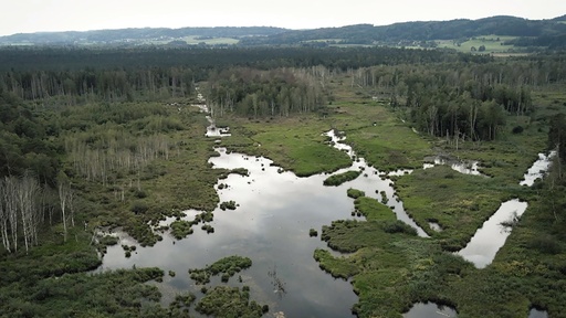 [AR03378-001] Sinkendes Land – Moore, die unterschätzten Klimaretter