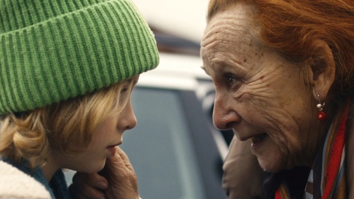 [AR03467-001] Schwarzmoll